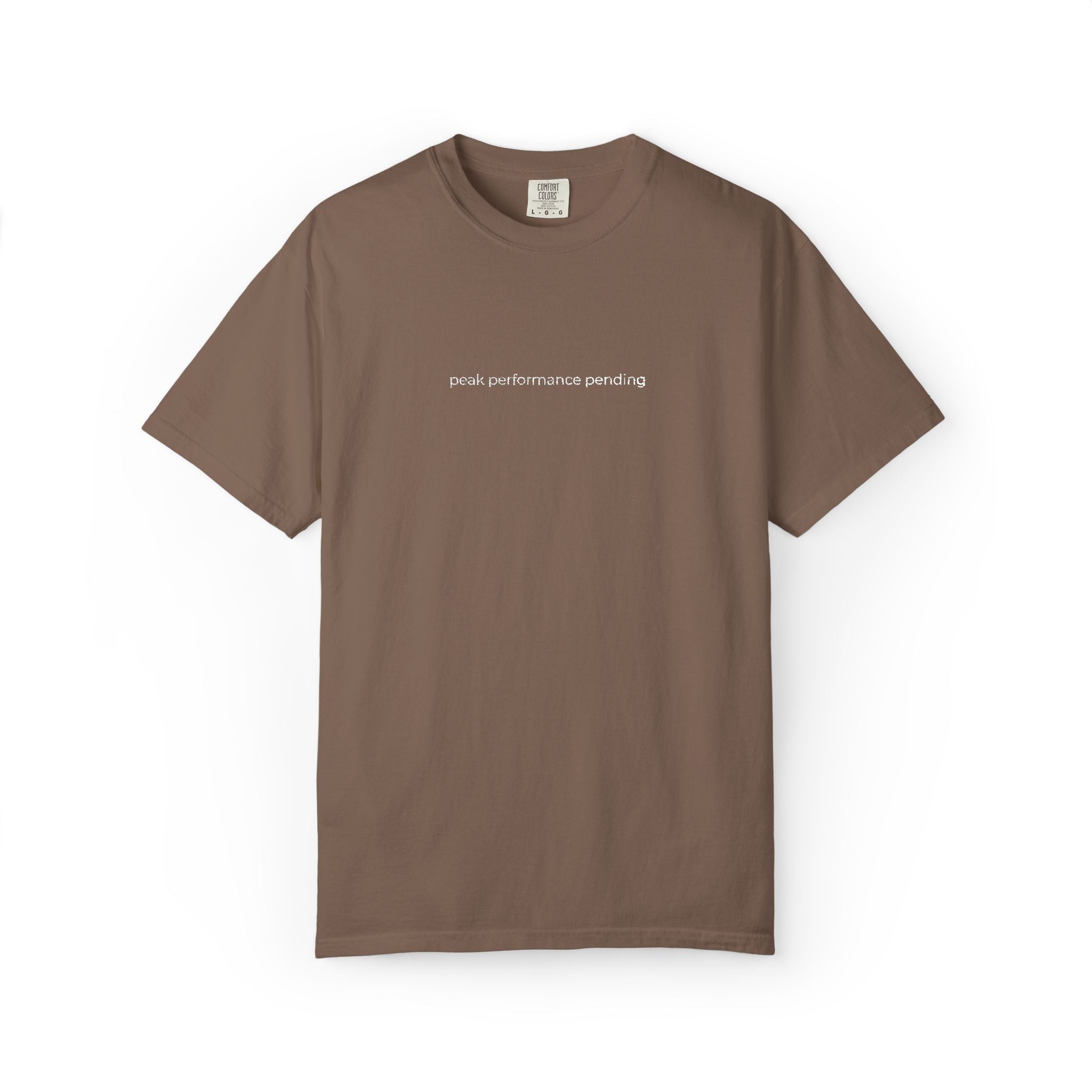 Peak performance pending. T-Shirt